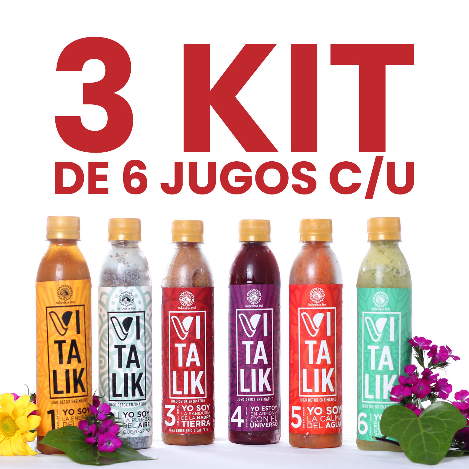 VITALIK - 3 KIT C/U CON 6 JUGOS DETOX ENZIMÁTICOS - OFERTA