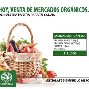 MERCADO ORGÁNICO PREMIUM Tipo 4